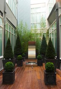 a courtyard with potted trees and a staircase in a building at Hard Days Night Hotel in Liverpool