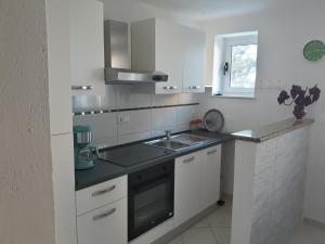 Kuchyň nebo kuchyňský kout v ubytování Apartment Miletic