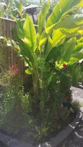 Corner Damai Villa Tabanan Updated 2021 Prices