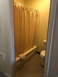a bathroom with a shower curtain and a toilet at Harcourt Motel in Mount Vernon