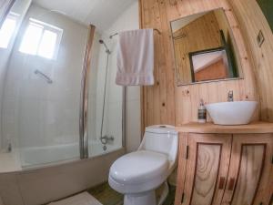 a bathroom with a toilet and a sink and a shower at Cabañas Parque Michimahuida in Chaitén