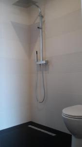 y baño con ducha y aseo. en Studio climatisé île naturiste du Levant en Hyères