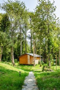 una cabaña en el bosque con un camino que conduce a ella en Cabañas Parque Michimahuida, en Chaitén