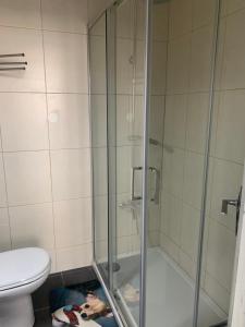a bathroom with a shower and a toilet at Residência Céu Azul in Porto