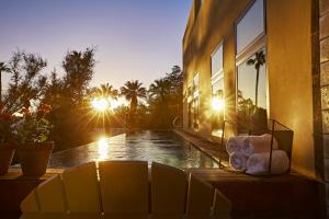 un ours en peluche assis à côté d'une piscine dans l'établissement Bespoke Inn Scottsdale, à Scottsdale