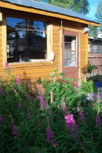 una pequeña casa con flores púrpuras delante de ella en Cabine, Home Sweet Home, en Whitehorse