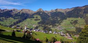 un piccolo villaggio in una valle tra le montagne di Molto Haus a Raggal