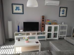 TV a/nebo společenská místnost v ubytování La CASA GRIS