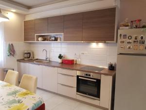 Kuchyň nebo kuchyňský kout v ubytování Modern Apartment Doris