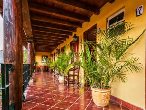 a hallway with potted plants on the side of a building at OYO Posada De Los Angeles, Pátzcuaro in Pátzcuaro