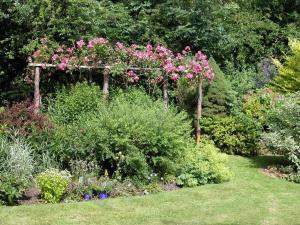 a garden with a pergola filled with pink flowers at Winterbourne Cottage in Chilmark