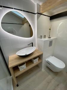 La salle de bains est pourvue d'un lavabo, de toilettes et d'un miroir. dans l'établissement Bel appartement vue mer - 1er rang front de mer, à Saint-Jean-de-Luz