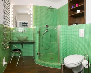 uma casa de banho verde com um chuveiro e um WC em Landhaus Residenz Kirchsee Sommerloft em Insel Poel