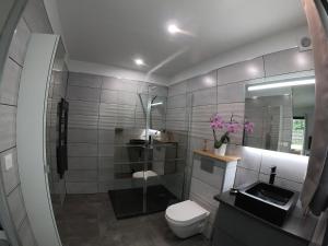 a bathroom with a toilet and a sink and a mirror at Laniakea in Lacanau-Océan