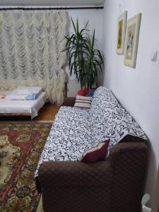 a living room with a couch and a plant at Apartment Ljupka in Pančevo