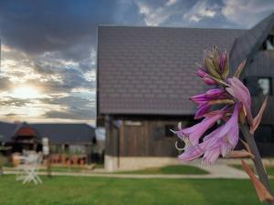 Vonkajšia záhrada v ubytovaní Plitvice Luxury Etno Garden