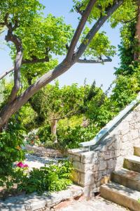 a stone staircase in a garden with a tree at Palaeopoli Villas in Avlemonas
