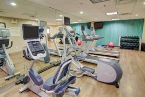 Fitness centrum a/nebo fitness zařízení v ubytování Holiday Inn Express Hotel & Suites Mankato East by IHG