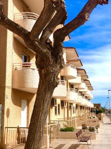 un árbol sentado frente a un edificio en Destino De Sol De Los Alcazares, en Los Alcázares