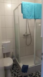 a bathroom with a shower with a toilet and a blue towel at Hotel Sonnenhof in Cham