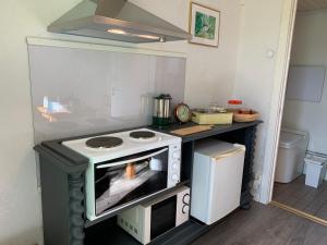 Virtuvė arba virtuvėlė apgyvendinimo įstaigoje The Little Swedish Stuga