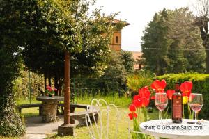 A garden outside SANTANGELA Hostel & Rooms