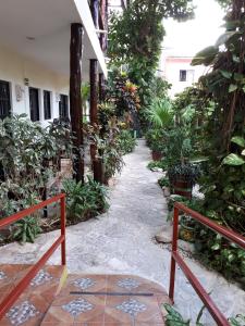 Gallery image of Hotel El Moro in Puerto Morelos