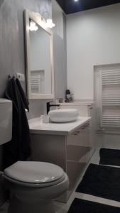 W łazience znajduje się umywalka, toaleta i lustro. w obiekcie NightSky w mieście Slavonski Brod