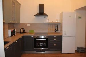 - une cuisine avec des armoires noires et un réfrigérateur blanc dans l'établissement Apartment"Na Hlavnej", à Košice