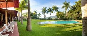 una piscina en un patio con palmeras en Altavista Casahotel - Asociado Casa Andina, en Moyobamba