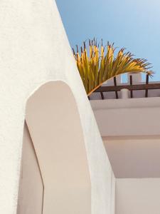 Fotografie z fotogalerie ubytování Surfers Retreat v destinaci Corralejo
