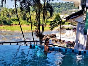 Swimmingpoolen hos eller tæt på Hotel Elephant Park "Grand Royal Pinnalanda"