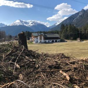 a pile of branches on a field with mountains in the background at Bucherhof in Obsteig