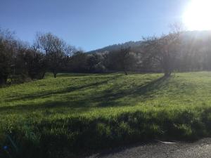 um campo de relva verde com árvores ao fundo em A coté de Genève 2 em Saint-Cergues