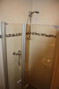 a shower with a glass door next to a sink at Öko-Ferienwohnung-Kiel Sturmmöwe in Kiel