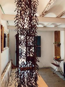 una planta creciendo en el lado de una pared en una habitación en La Maga Rooms, en Xàtiva