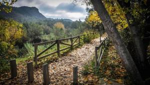 a wooden bridge on a trail in the woods at La Maga Rooms in Xàtiva