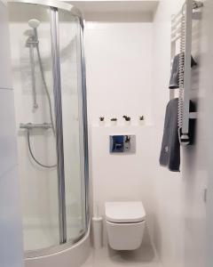 オルシュティンにあるApartament Studencki No 3の白いバスルーム(シャワー、トイレ付)