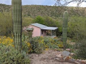 un jardín con un cactus y una casa rosa en Saguaro Lake Ranch, en Fountain Hills