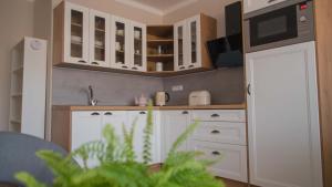 Kuchyň nebo kuchyňský kout v ubytování Apartmány U Sjezdovky