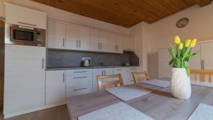 Kuchyň nebo kuchyňský kout v ubytování Apartmány U Sjezdovky