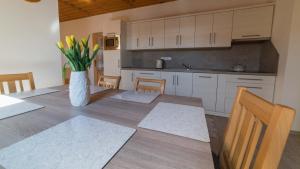 Kuchyň nebo kuchyňský kout v ubytování Apartmány U Sjezdovky