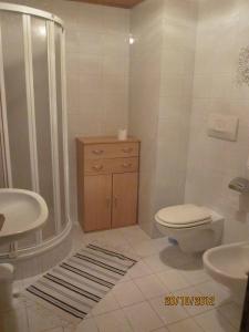 サン・ジェネージオ・アテジーノにあるGasthof zum Roesslのバスルーム(トイレ、洗面台、シャワー付)