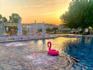 Bassein majutusasutuses Hotel Bora Bora velipoja või selle lähedal