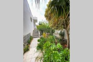 a garden with a palm tree and a building at Cosy 2 pièces charmant et spacieux in Tunis