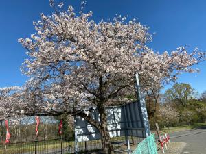 Fotografie z fotogalerie ubytování Restay Tokorozawa (Adult Only) v destinaci Tokorozawa