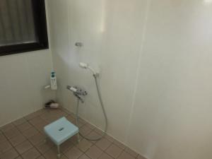 a bathroom with a shower with a toilet in it at Guesthouse Suzukaze in Shibushi