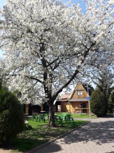 Vonkajšia záhrada v ubytovaní Penzion a Chatový Camp Havraníky u NP Podyjí