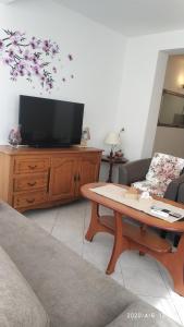 TV a/nebo společenská místnost v ubytování Diklo beach apartments Robert & Renata