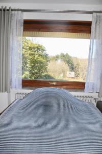 a bed in a bedroom with a large window at Wohlfühlen in Wiehl - Drabenderhöhe in Wiehl